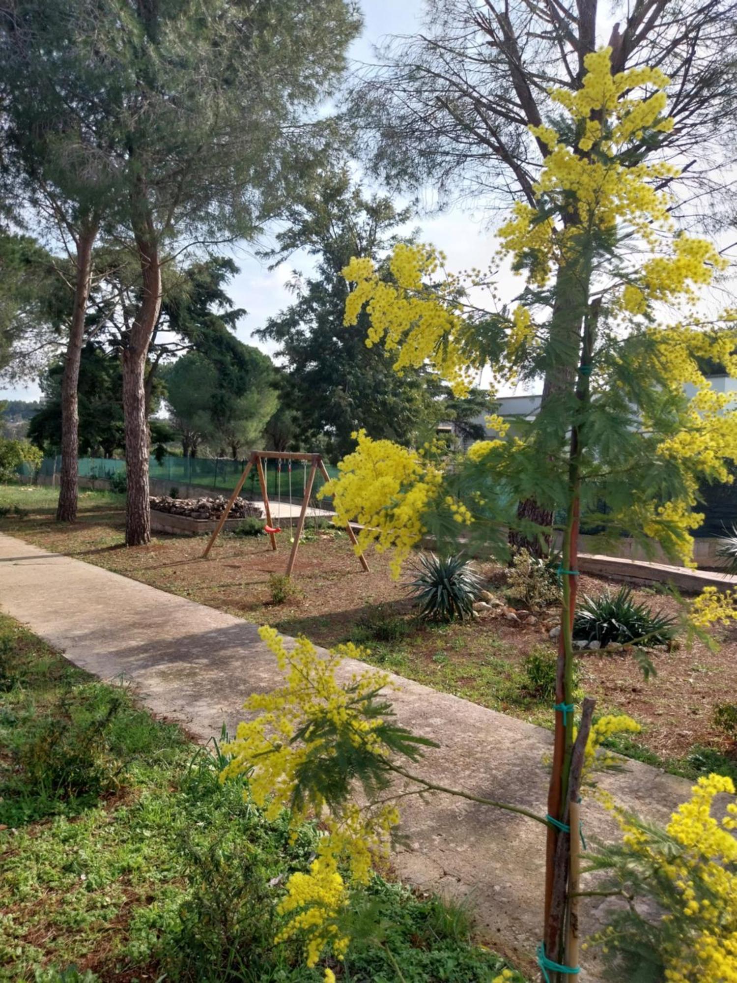 奥斯图尼Al Pineto San Matteo别墅 外观 照片
